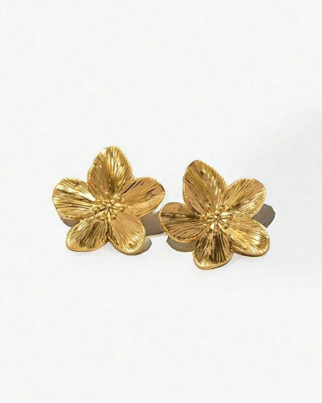 Jardín dorado 2 piezas de pendientes zinc AG25TR02