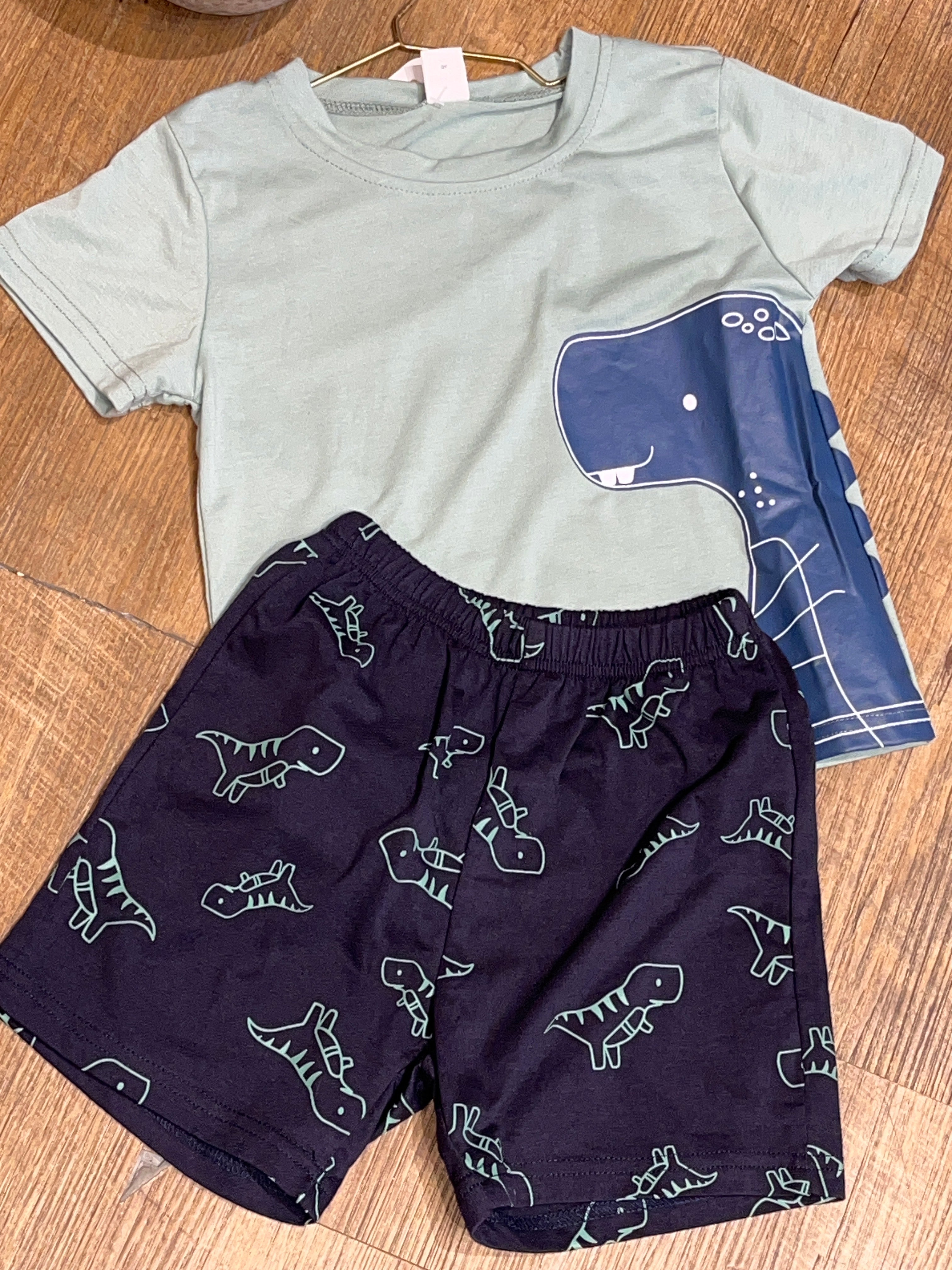Conjunto de camiseta y Shorts, con estampado de dinosaurio AP04