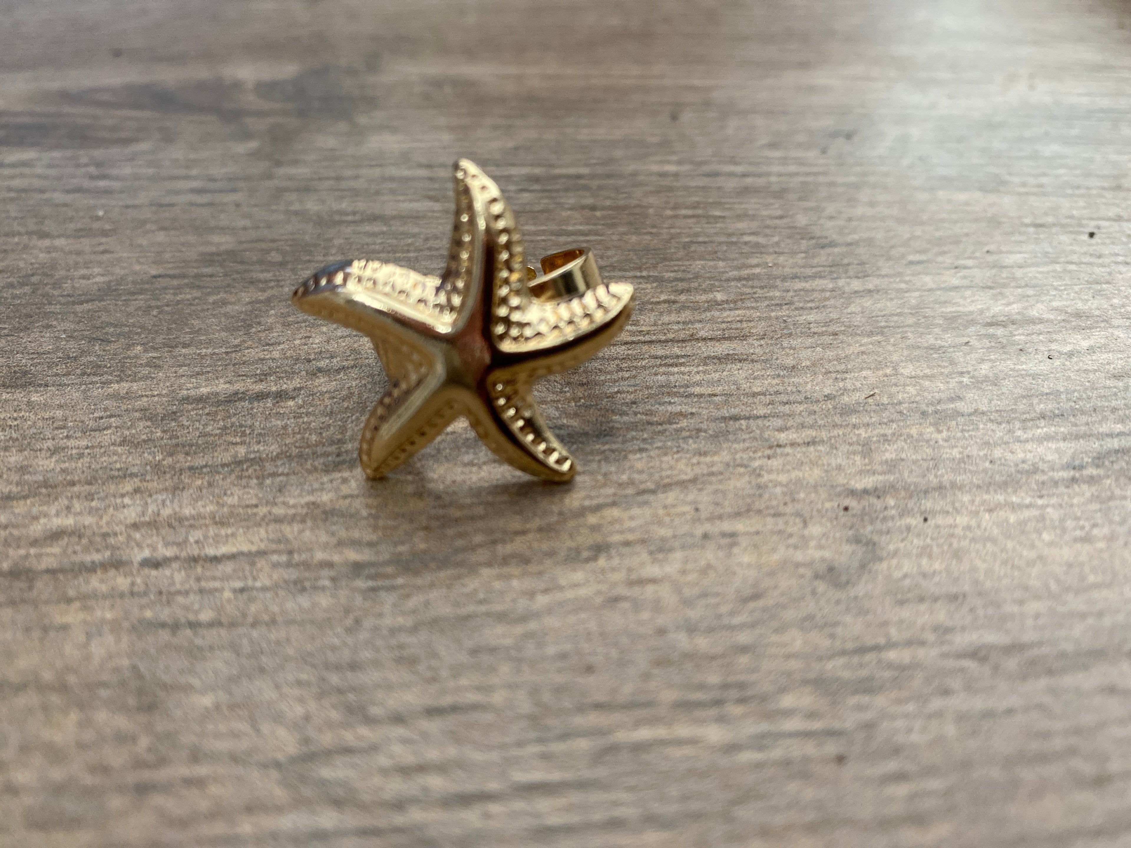 Estilo de mar anillo A25IX01