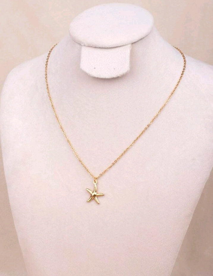 Collar de con Colgante de Estrella de Mar A25QK02
