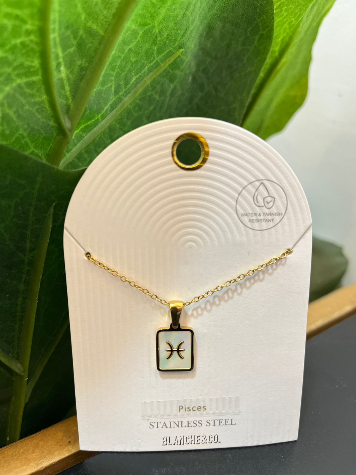 Collar Signo zodiacal S25VE02