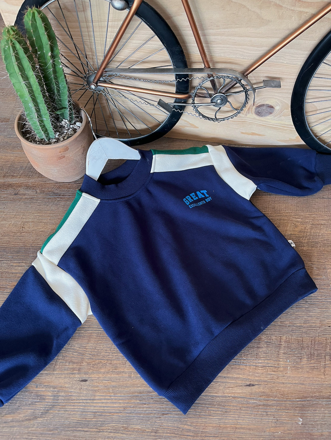 Sudadero Great baby J25SE07