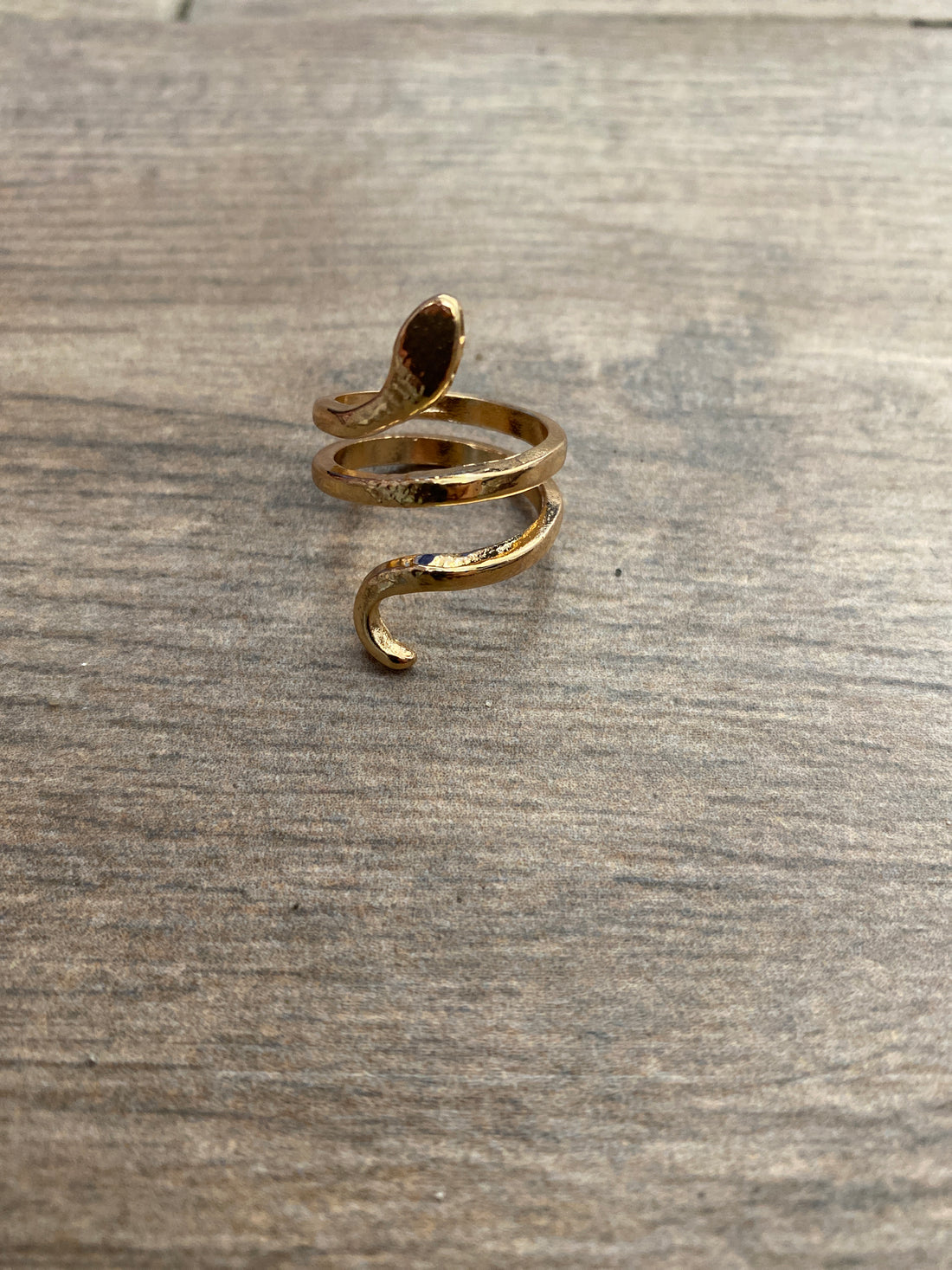 Serpiente encantada A25BZ01