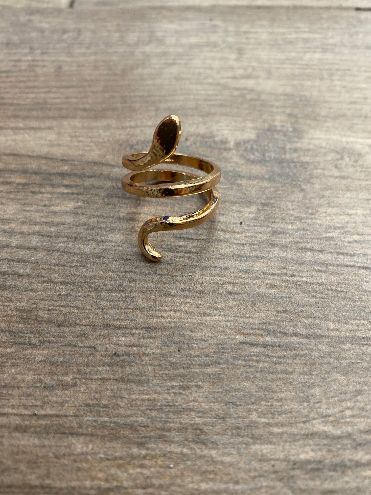 Serpiente encantada A25BZ01