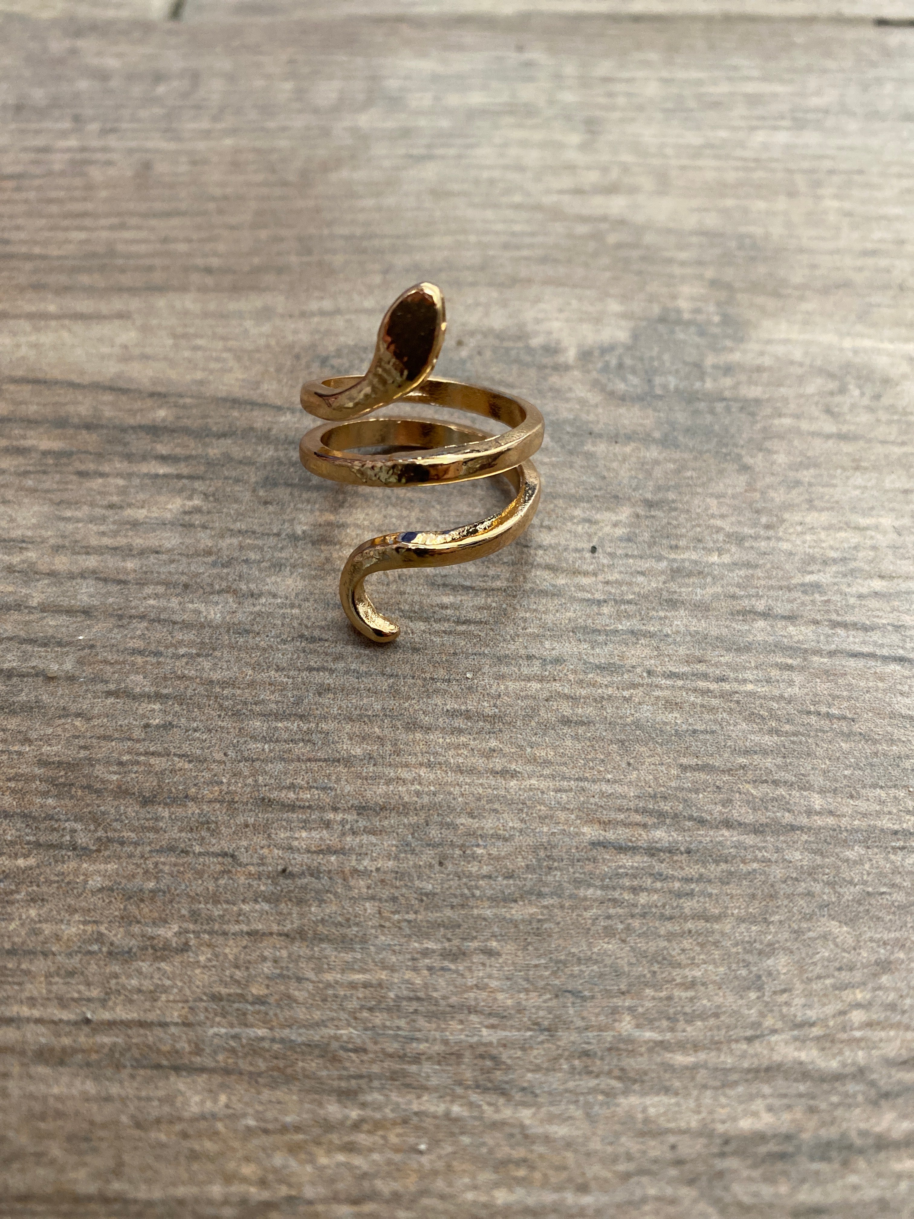 Serpiente encantada A25BZ01