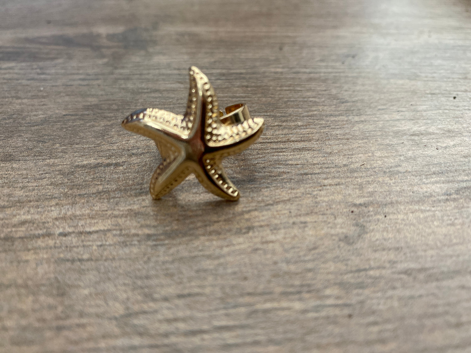 Estilo de mar anillo A25IX01