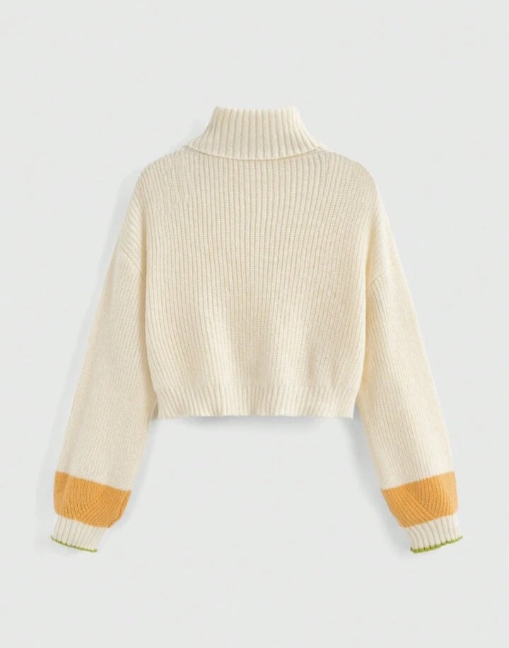 Jersey de Cuello Alto con Bordado 3D M25JY02