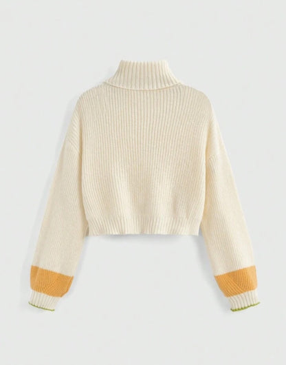 Jersey de Cuello Alto con Bordado 3D M25JY02
