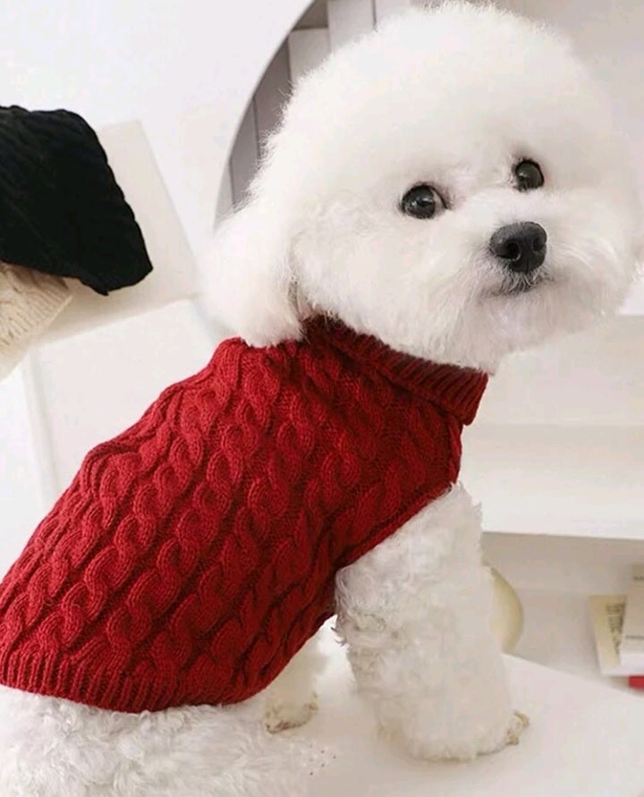 Suéter de Patrón Trenzado para Mascota LN010